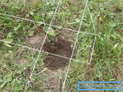 A jövőbeli struktúra körvonalait körvonallal körvonalazzuk A jövőbeli struktúra körvonalait körvonallal körvonalazzuk