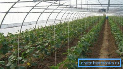 Az alkalmazott fűtési rendszert az agrotechnikai szerkezet területe alapján választják ki. Az alkalmazott fűtési rendszert az agrotechnikai szerkezet területe alapján választják ki.