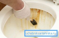 A fényképen: barna foltok és foltok elrontják a WC megjelenését