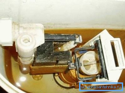 Nem tudod - hogyan kell tisztítani a WC-tálat? Töltsük fel 4 liter meleg vízzel és porral, hagyjuk egy ideig, majd ürítsük át a WC-n keresztül. Nem tudod - hogyan kell tisztítani a WC-tálat? Töltsük fel 4 liter meleg vízzel és porral, hagyjuk egy ideig, majd ürítsük át a WC-n keresztül.