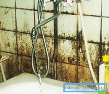 Mold a csempe miatt a túlzott nedvességet