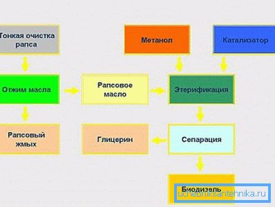 A biodízelt a repcemagból. A biodízelt a repcemagból.