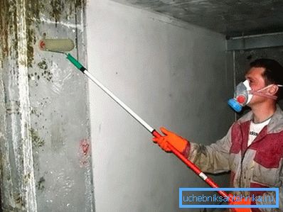 Hogyan lehet eltávolítani a gomba a fürdőszobában