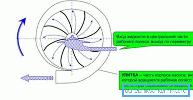 A centrifugálszivattyúk működési elve. A centrifugálszivattyúk működési elve.