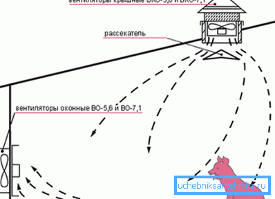 Kényszerített szellőztetés a sertésekben saját kezével Kényszerített szellőztetés a sertésekben saját kezével