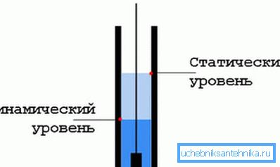 A dinamikus és statikus szint normál helyének rendszere