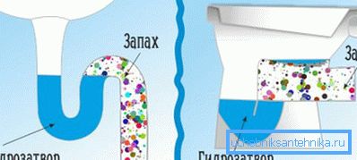 A vízcsapda sémája a mosdó és a WC alatt A vízcsapda sémája a mosdó és a WC alatt