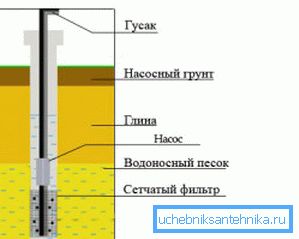 Hátszerkezet a homokkőnél